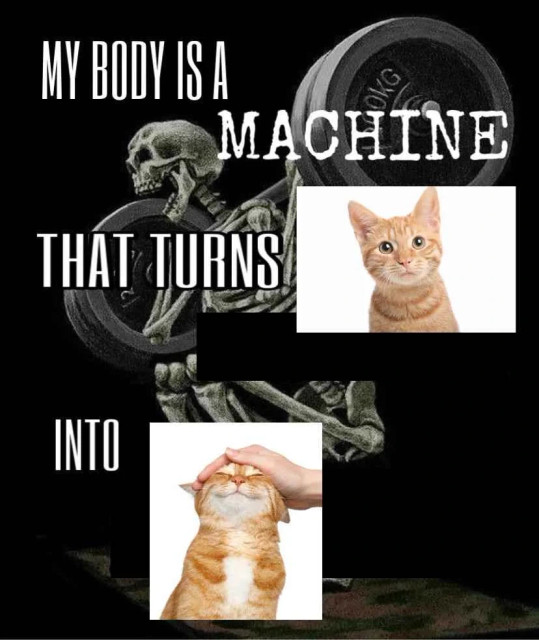 my body is a machine that turns (cat) into (cat being pet)