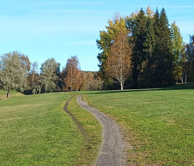 Autumn photo of a grass field. Straight ahead a path forms where people have taken the shorter route over the grass. Over the years the path has turned two-way since a lot of people walk and bike in both directions.