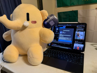 My Mastodon Plushie sitting in front of my iPad Pro 13, with the Mastodon QR code tag on the ear.