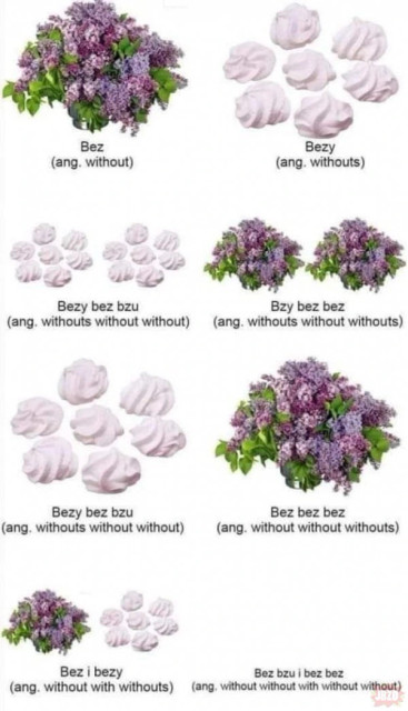 a joke about sambucus (pol. bez translated as without) and meringues (po. bezy translated as withouts)