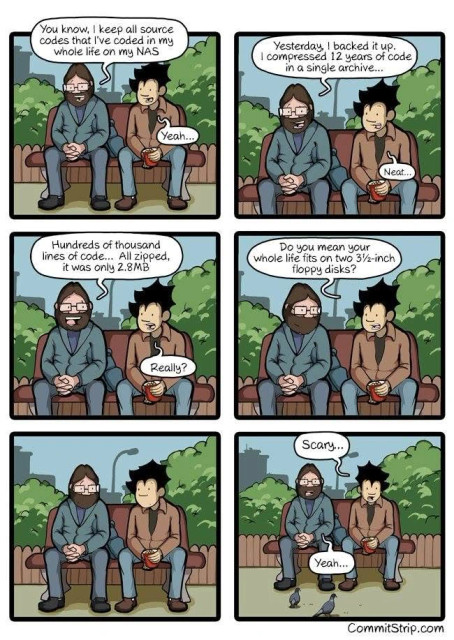 In this comic, two software developers discuss the small size of a compressed archive containing 12 years of source code, which fits on two three-and-1/2-inch floppy disks, humorously comparing it to the seemingly insignificant amount of data their life's work represents. 