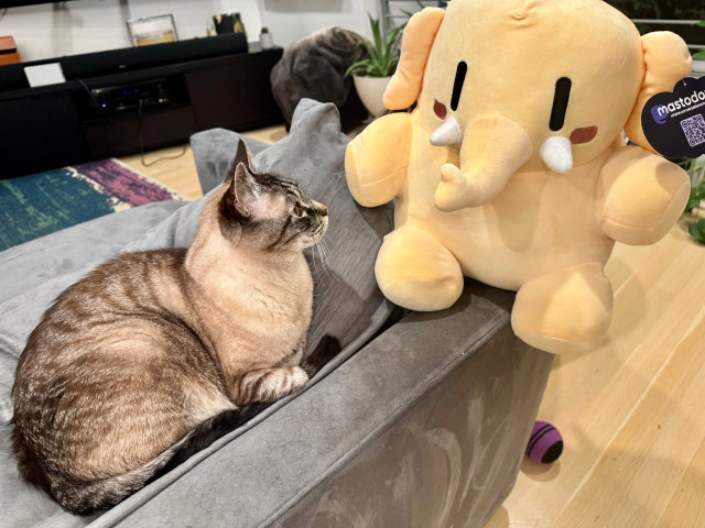 A lynx point tabby cat sitting on the back of a couch eyes a plush mastodon. Both are cute. 