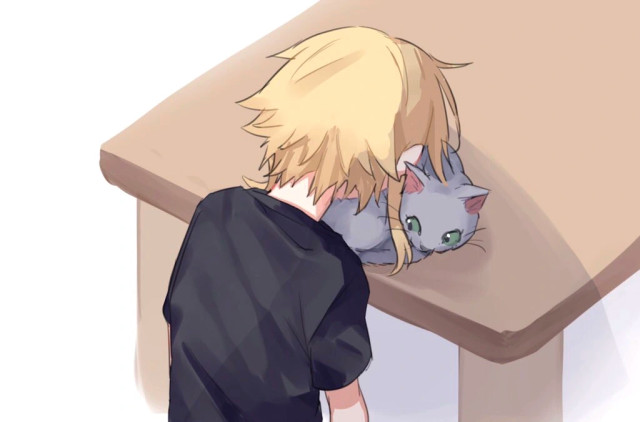 Anime boy put his head into a cat