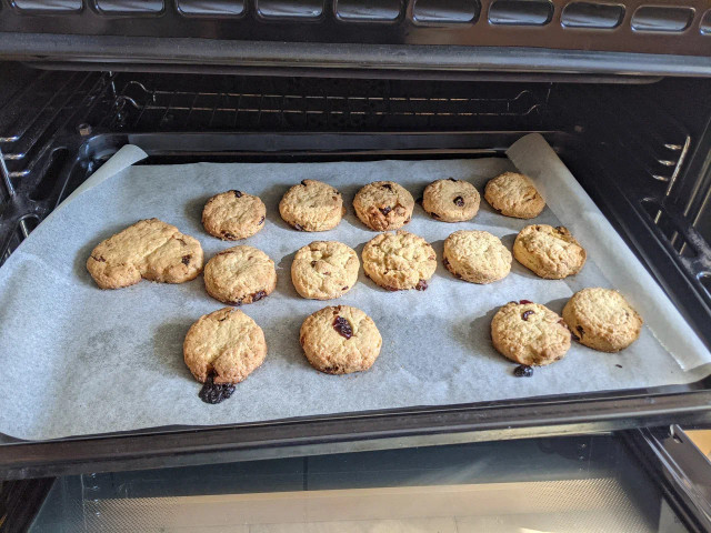 Freshly baked cookies in the open oven