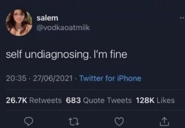 Still image. Social media post. 

salem @vodkaoatmilk

self undiagnosing. I'm fine
