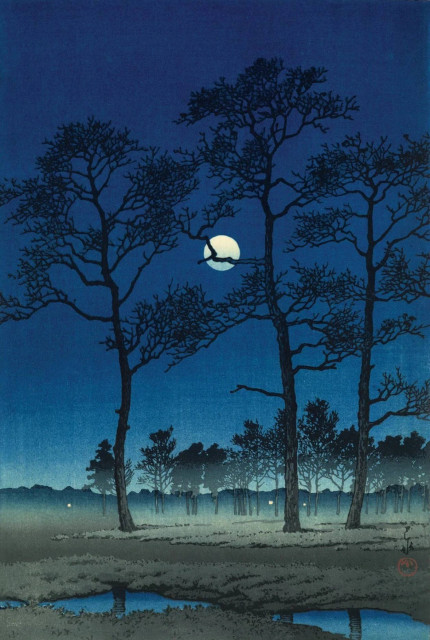 A full moon shines in a starless night sky, illuminating a misty landscape. In the foreground, puddles have formed on the uneven ground, between patches of bare earth and withered grasses. Tall leafless trees screen our view of the moon, reduced to silhouettes in the evening light. Beyond, another string of trees crosses the landscape; further on, the shadowy horizon is jagged with the shapes of mountains. A few distant lights hint at far-off houses, invisible in the gloom.