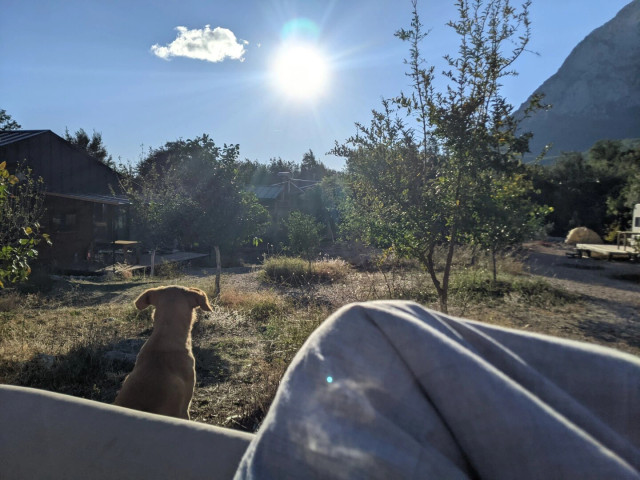 The sunny weather, a photographer sits somewhere outside have his legs covered with a blanket. Nearby a dog sitting and watching towards the sky. Forest, a few small wooden buildings and a part of the mountain in the background.