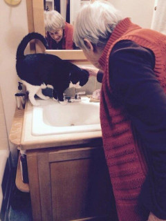 Ursula K Le Guin leaning forward and gently petting her tuxedo cat Pard who is attempting to drink water from a faucet in the bathroom.