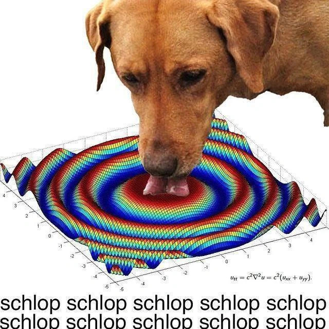 A sine wave is revolved around the origin of a grid in 3d space (probably not actually how it's constructed, based on the formula, but echh maybe you can visualise this description better. Cbs) The resulting ripples emanating from the origin are coloured in a blue to red gradient, proportional to height of the wave.

The wave is seen at an angle. A dog is licking the origin point. The subtitles include the formula used to derive the construct, and "schlop schlop schlop schlop... schlop schlop"