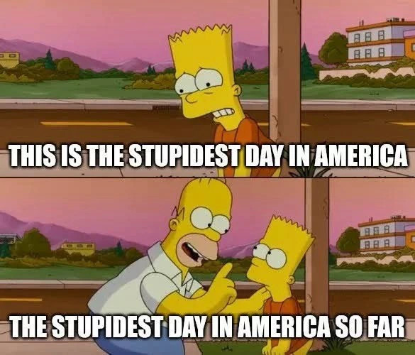 (Bart) THIS IS THE STUPIDEST DAY IN AMERICA (Homer) THE STUPIDEST DAY IN AMERICA SO FAR