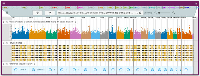 A srceenshot showing an interface with 3 tracks: one is not yet rendered, one is for genes and one for GWAS. The GWAS for different chromosomes colored differently.