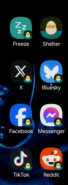 An app named shelter, a shortcut labeled freeze apps, and a bunch of social media apps with the shelter icon in the corner.