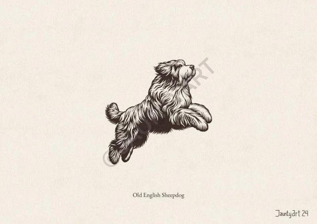 An illustration of a Old English Sheepdog jumping up and to the right
Text reads “Old English Sheepdog”