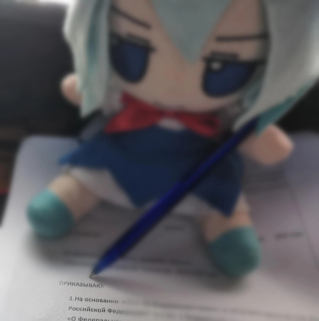 Cirno fumo указывает ручкой на какой-то бумажный приказ