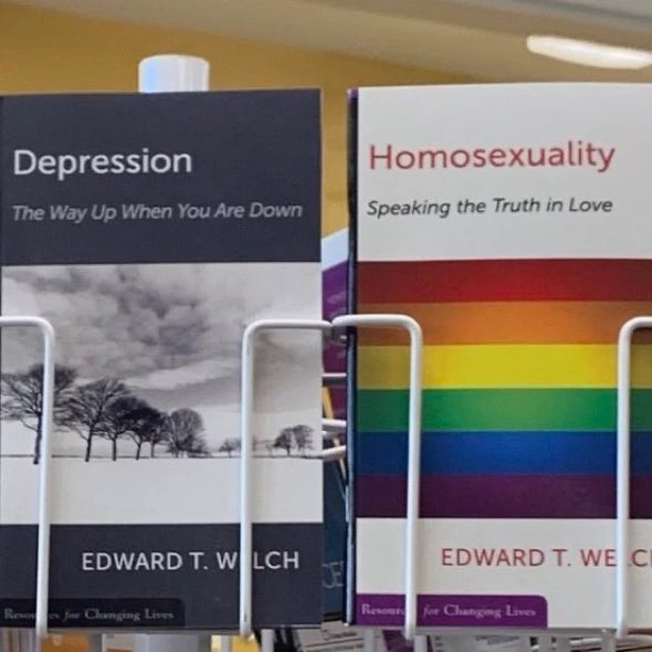 two books with covers in the same style right next to each other titled "depression" and "homosexuality"