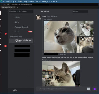 Discord channel screen in Servo, showing a few of Diffie’s messages and attachments